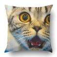 thumbnail image 1 of RYLABLUE Funny cat Pillowcase Throw Pillow Cover Case 16x16 inches, 1 of 2