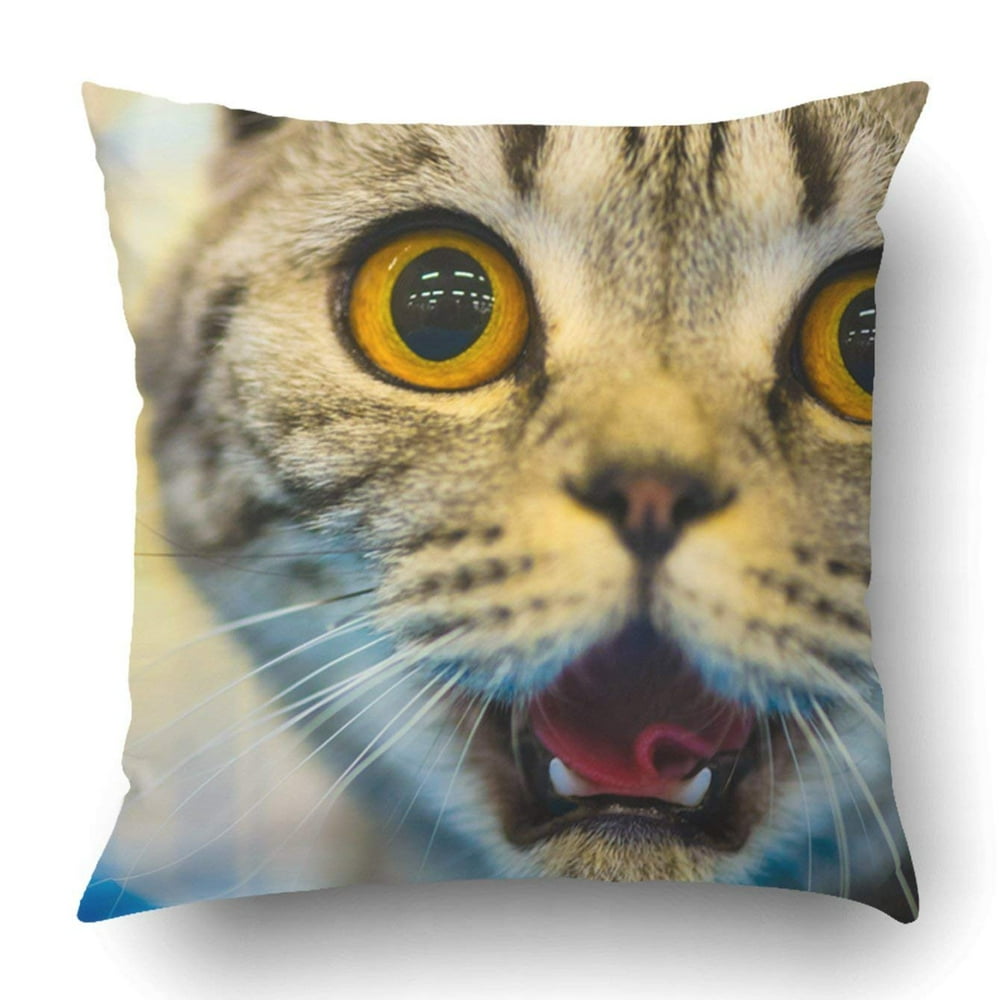 ARTJIA Funny cat Pillowcase Throw Pillow Cover Case 16x16 inches