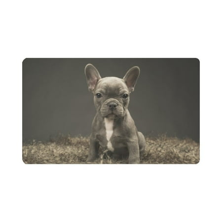 French Bulldog Door - MKHERT Baby French Bulldog Cute Puppy Doormat Rug Home Decor Floor Mat Bath Mat 30x18 inch