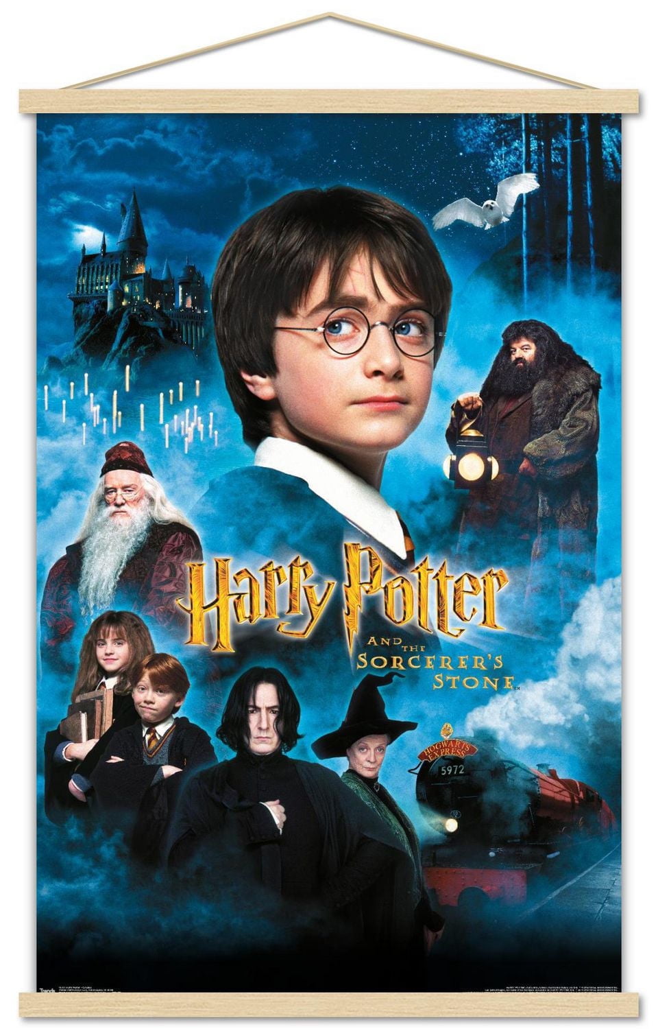 Harry Potter and the Sorcerer's Stone - Candles One Sheet Wall Poster, 22.375" x 34"