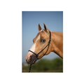 thumbnail image 5 of Mustang Be Good Control Halter De Cuerda De Poliéster Negro, 5 of 5