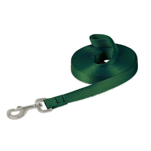 3/4in Green 15ft Dog Training Leash