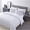 White, variant on The Nesting Company Larch Bedding Set 3 Piece Quilted Microfiber Comforter Set  2 Pillow Shams