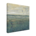 thumbnail image 2 of Tim OToole 'Sage Terrain II' Canvas Art, 2 of 3