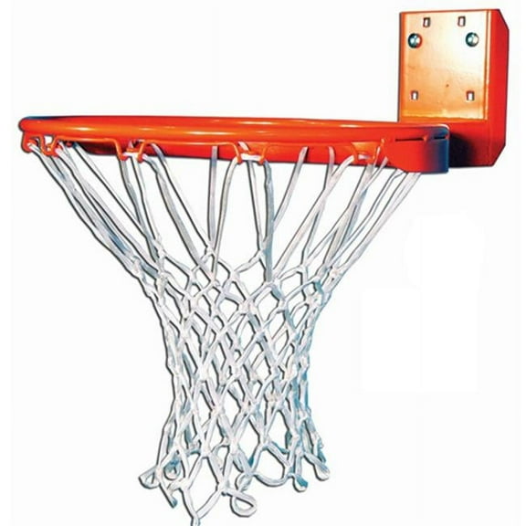 Gared Sports 4066 Instutional Extra Strength Alloy Rear Mount Fixed Goal with Nylon Net