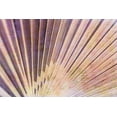 thumbnail image 2 of Vincze 32x23 Gold Ornate Wood Framed with Double Matting Museum Art Print Titled - Palm Leaf Elements II, 2 of 4