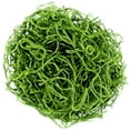 thumbnail image 4 of SuperMoss (26907) Spanish Moss Preserved, Grass, 4oz, 4 of 4
