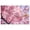 Color 2, variant on 8 Pack Art Acoustic Panels Sound Absorbing Pink Flower Natural Landscape Floral Cherry Blossoms Flowers Branch Decorative Soundproof Wall Panels Self Adhesive for Recording Studios Office 48"x32"