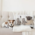 thumbnail image 4 of Ambesonne Pug Throw Pillow Cover 2 Pack, Young Puppy and Kitten, 24", Pale Brown Beige, 4 of 5