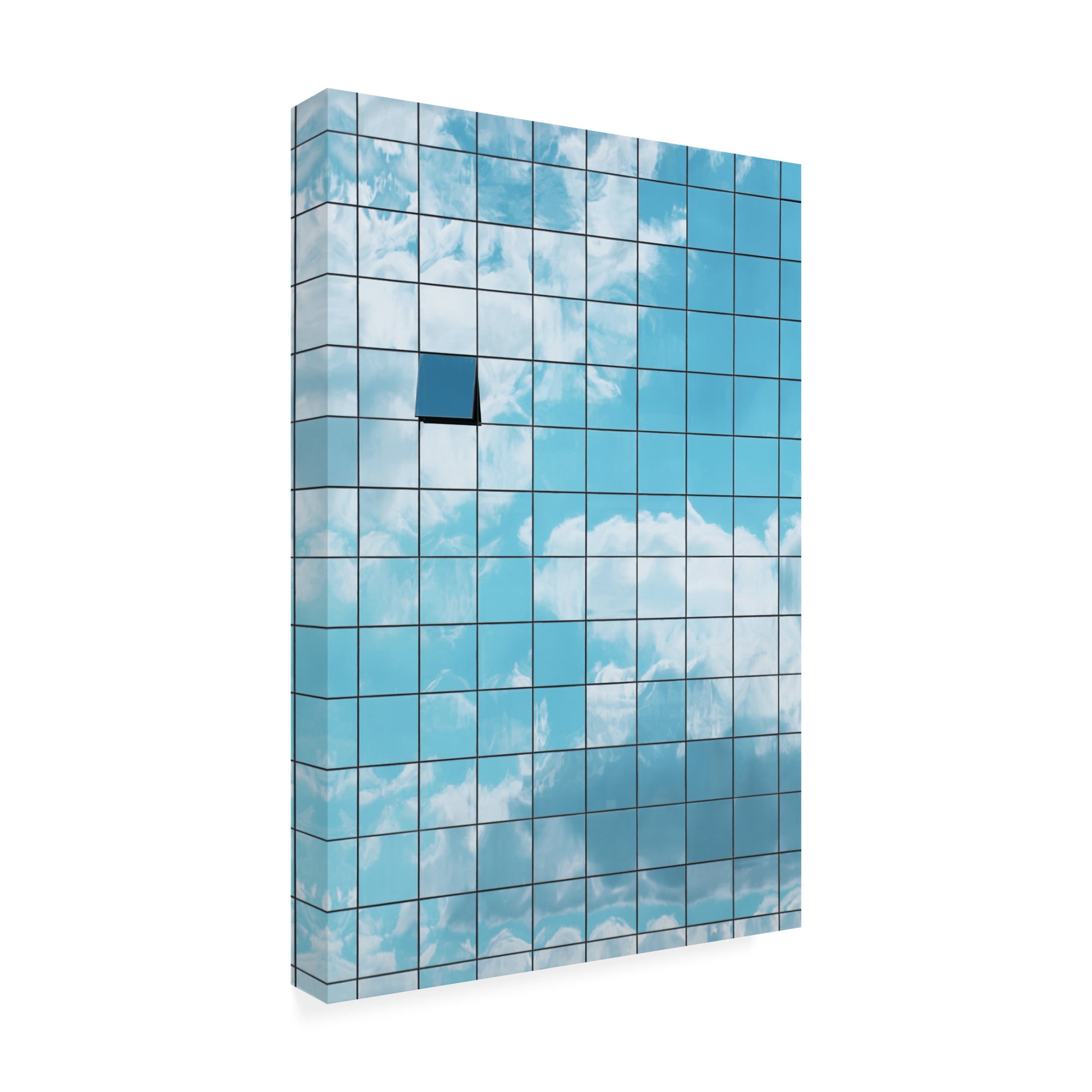 Trademark Fine Art Marcus Cederberg Reflections Canvas Wall Art