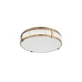 thumbnail image 4 of WAC Lighting Constantine 18" LED Transitional Aluminum Flush Mount in Black, 4 of 5