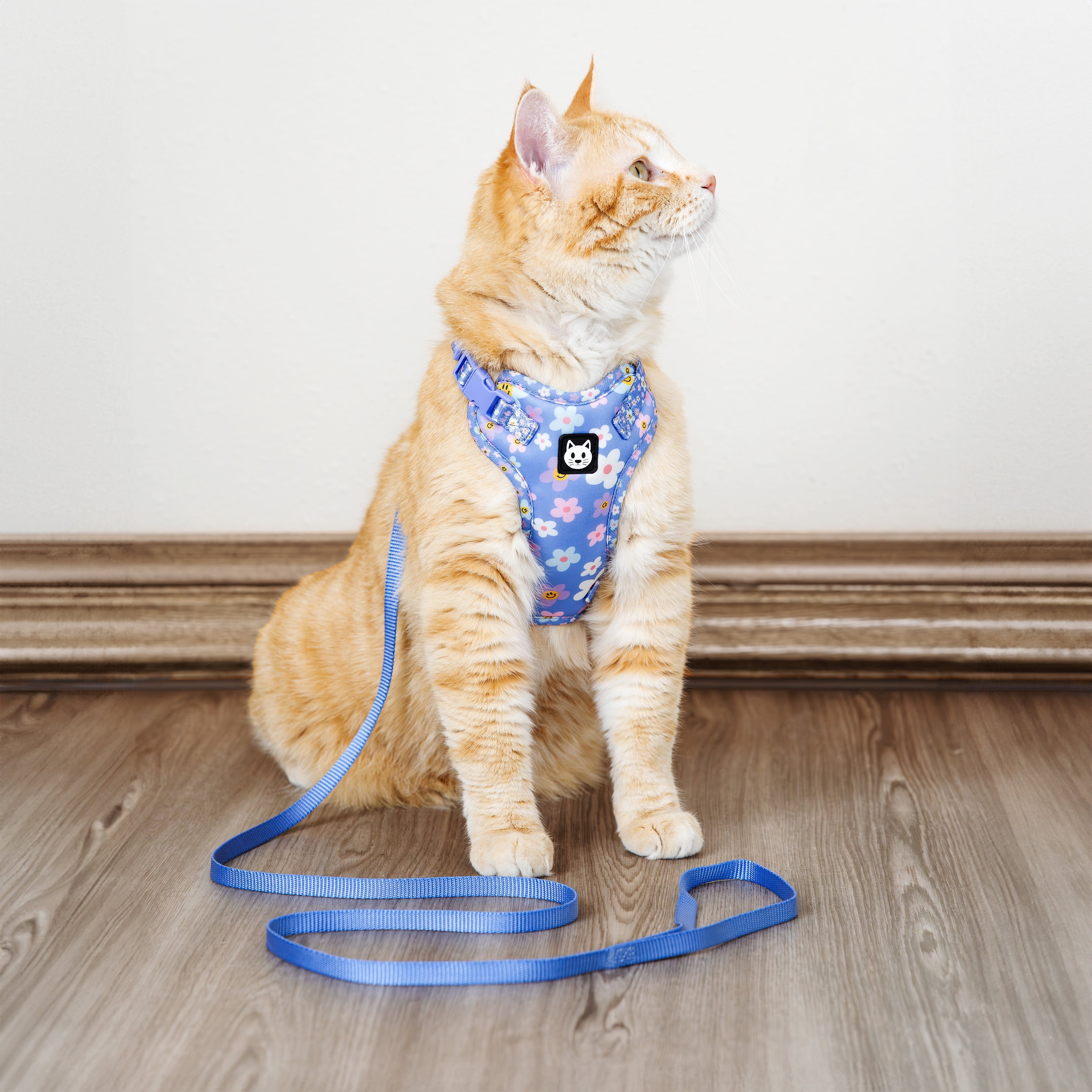 Vibrant Life Polyester Floral Comfort Cat Harness and Leash Set, Blue, One Size