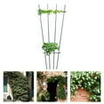 thumbnail image 3 of Metal Anti-cracking Plant Support Ring Stable Multi-use Sturdy Plant Stake for Home, 3 of 10