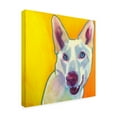 thumbnail image 2 of Trademark Fine Art 'Husky Charlie' Canvas Art by DawgArt, 2 of 3