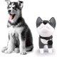 thumbnail image 3 of Cute Dog Bank, Husky Coin Bank Kids Toy Bank Doggy Puppy Piggy Bank For Girls Boys 2025 new, 3 of 5