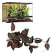 thumbnail image 1 of Simulación De Reptiles Paisajismo Decorativo Vine Verde Para Caja De Mascotas, 1 of 7