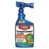 32 OZ 5 000 SQFT Coverage Ready To Spray Fungus Control For Lawns Only One