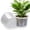 10 Inch-5pcs, variant on 8 Inch-10pcs Plastic Plant Pots with Drainage Holes, Indoor Outdoor Gardening for Seedlings Flowers Vegetables