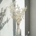 thumbnail image 4 of 5X Flores de Ruscus Secas para Siempre de 45cm DecoracióN Floral DIY Ramo de Flores Secas para DecoracióN del Hogar de Boda, 4 of 5