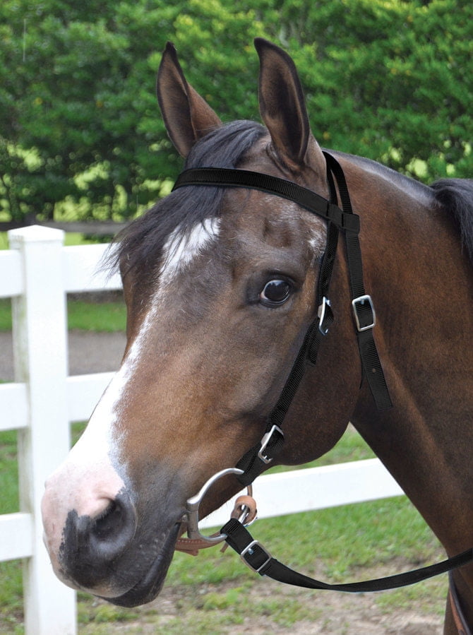 Amish USA Horse Saddle Tack Bridle Western Leather Headstall PONY 78RT13 