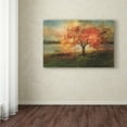 thumbnail image 3 of Lois Bryan 'Cherry Tree Sprinkled with Spring' Canvas Art, 3 of 3