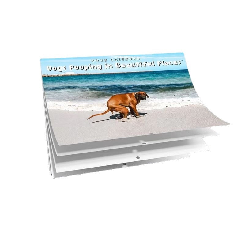 JeashCHAT 2023 Wall Calendar Dog Pooping Calendar Dog Poop Calendar jeashchat-2023-wall-calendar-dog-pooping-calendar-dog-poop-calendar