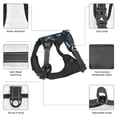 thumbnail image 6 of Lsque Beautiful Butterflies Dog Harness, No-Pull Pet Harness with 2 Leash Clips, Adjustable Soft Padded Dog Vest with Easy Control Handle for Large Dogs-X-Large, 6 of 9