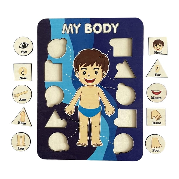 Aprendizaje de las partes del cuerpo humano Rompecabezas del cuerpo para niños Actividades de aprendizaje Juego de rompecabezas de clavijas de madera para niños como regalo de cumpleaños