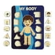 thumbnail image 1 of Aprendizaje de las partes del cuerpo humano Rompecabezas del cuerpo para niños Actividades de aprendizaje Juego de rompecabezas de clavijas de madera para niños como regalo de cumpleaños, 1 of 8