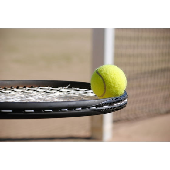Framed Art For Your Wall Tennis Ball Bat Court
