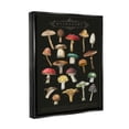 thumbnail image 3 of Stupell Industries Dark Informative Mushroom Chart Landscape Painting Black Floater Framed Art Print Wall Art, 3 of 6