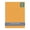 Golden Orange, variant on Orange 12x16 Uncut Art Mat Board - No Opening - 1 Mat
