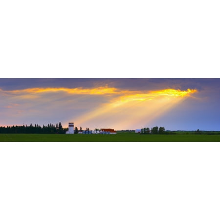 God Beams Over Prairie Farm Canvas Art - Corey Hochachka  Design Pics (37 x 10)
