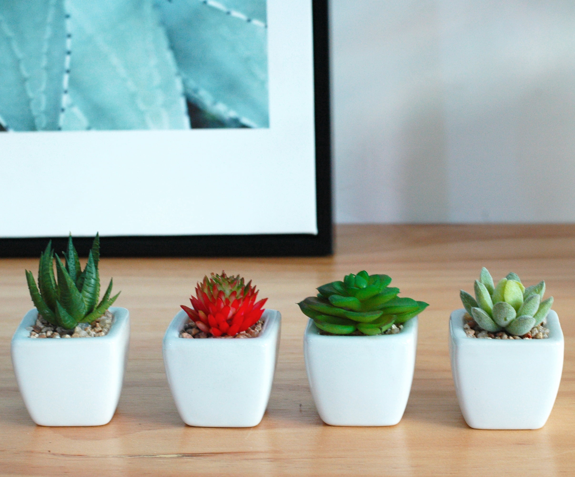 K-Cliffs Set of 4 Mini Faux Succulents in White Squared Ceramic Pots,  4,  2 L x 2 W x 2 H inches, 2lbs