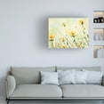 thumbnail image 2 of Canvas Wall Art - Emma Coghlan 'Chrysanthemum and Daisy Field' Wall Art for Living Room, Bedroom, or Office Décor by Trademark Fine Art - 47 x 35 Inches, 2 of 4