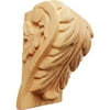 Ekena Millwork 3 1/4"W x 2 3/4"D x 5"H Medium Acanthus Leaf Block Corbel, Red Oak