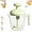 Green, variant on Ergonomic Multi-Blade Manual Egg Mixer, Press & Go Egg Beater Cup, Hand Push Whisk for Frothing Milk, Blending Shakes, Beating Eggs, Baking & Cooking