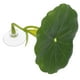 thumbnail image 1 of unbranded Planta Artificial Para Y Descanso De Peces Betta, 1 of 6