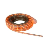 Orange LED Christmas Outdoor Linear Tape Lighting -30 ft Clear Tube