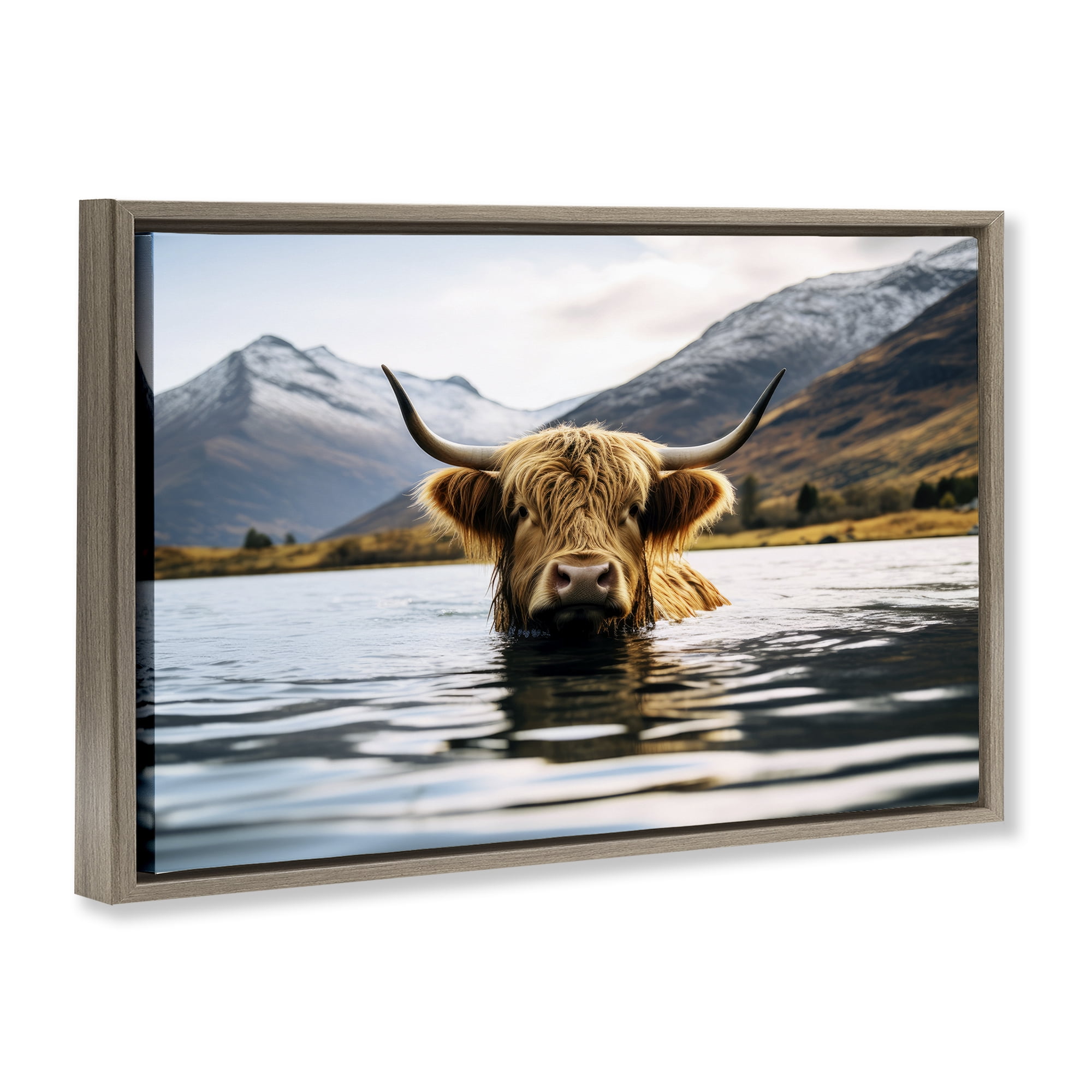 Stupell Industries Cattle Peeking from Water Animals Photography Brown Floater Framed Canvas Art Print Wall Art, 31 x 21