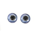thumbnail image 2 of Purple Unicorn Glass Eyes, 2 of 5