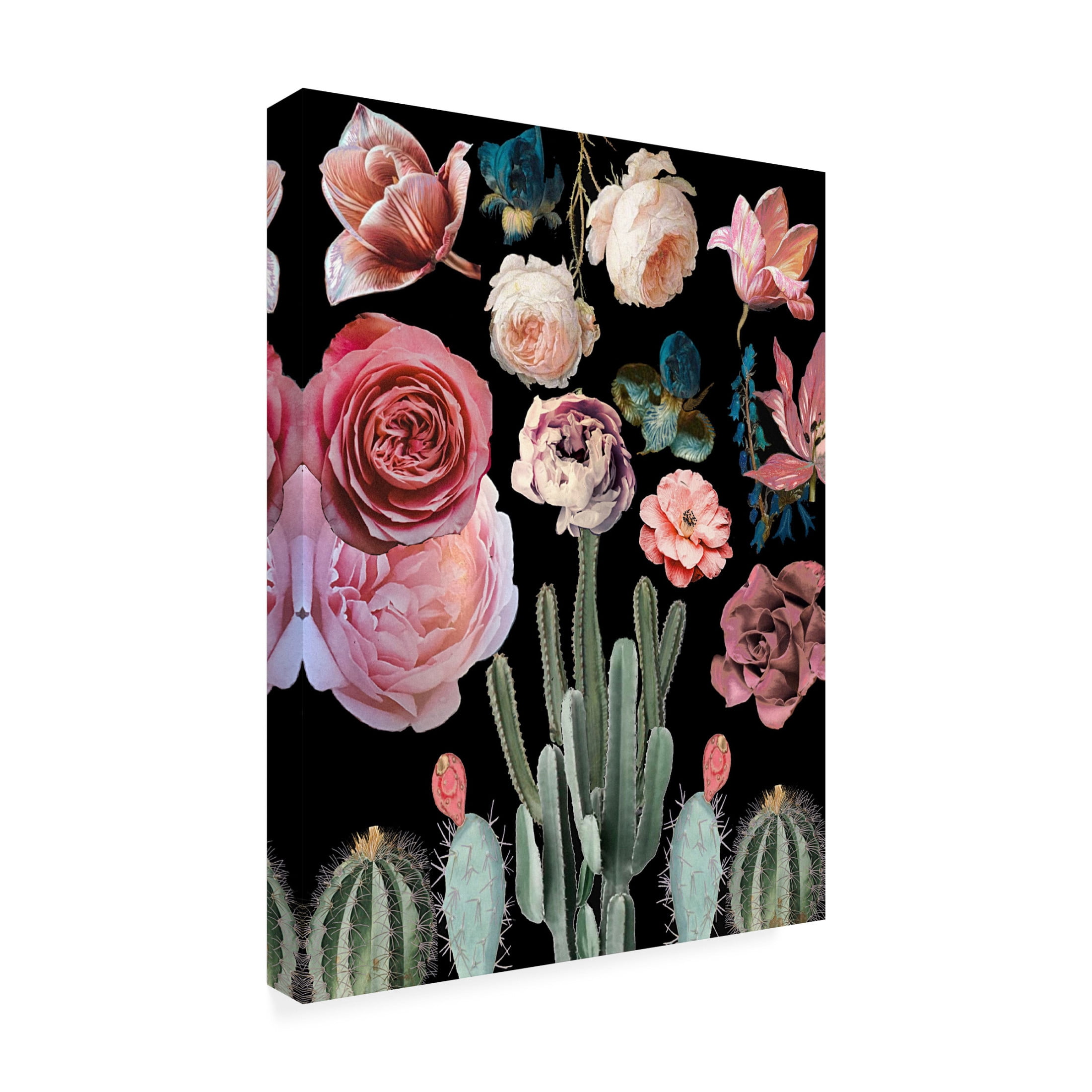Trademark Fine Art giovanna nicolo Cacti Floral Blooms Botanical Canvas Wall Art
