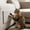 Beige, variant on Trimmable Adhesive Cat Scratch Mat, Beige Cloth Scratching Pad, Self-Adhesive for Cat Trees Furniture Walls, Protects Surfaces from Scratch Damage Durable