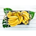 thumbnail image 7 of Organic Dried Banana Slices, 0.75 Pounds — Non-GMO, Raw, Vegan — by Food to Live, 7 of 7