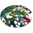 thumbnail image 4 of Stainless steel Harvesting Scissors T-500S, 4 of 4