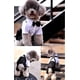 thumbnail image 3 of Perro gato guapo caballero falso traje de dos piezas camisa foto boda blanco talla L, 3 of 5