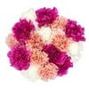 Fresh-Cut Large Carnation Mother's Day Flower Bouquet, Minimum 16 Stems, Colors Vary