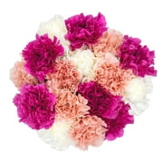 Fresh-Cut Large Carnation Mother's Day Flower Bouquet, Minimum 16 Stems, Colors Vary