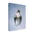 thumbnail image 2 of Trademark Fine Art 'Peregrine Falcon' Canvas Art by Ron Parker, 2 of 3