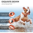 thumbnail image 4 of LAICAIW Collier pour Chien Réfléchissant avec AirTag, Collier pour Chien avec AirTag en Forme de Pomme Rembourré, Collier pour Chien Robuste avec Étui de Support pour AirTag, Accessoires Ajustables pour AirTag, Collier pour Animaux de Compagnie pour Petit Moyen Grand Chien, TG (19 Pieds'-22 Pieds), 4 of 6
